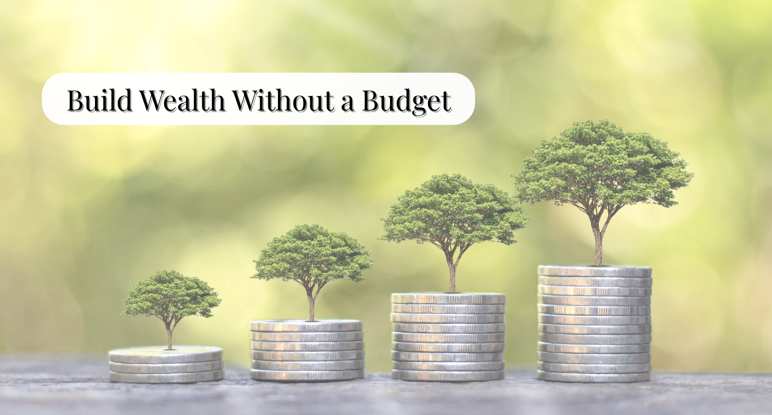 "Four stacks of coins, each topped with a growing tree, symbolizing financial growth and wealth-building over time. The background is a soft, blurred green, and the text reads 'Build Wealth Without a Budget."